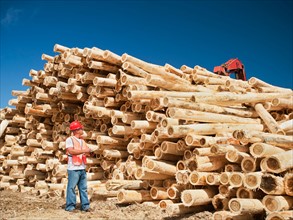 Engineer in front of stack of timber.
