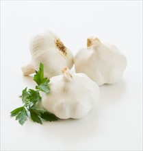 Studio shot of fresh garlic and cilantro.