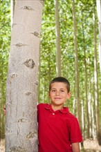 USA, Oregon, Boardman, Boy (8-9) standing between poplar trees in tree farm.