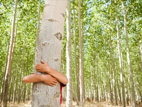 USA, Oregon, Boardman, Boy (8-9) hugging poplar tree in tree farm.