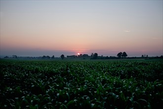USA, New York State, Farmland at sunset. Photo : Winslow Productions