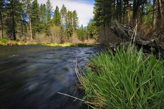 USA, Oregon, Deschutes County, Metolious River. Photo: Gary J Weathers