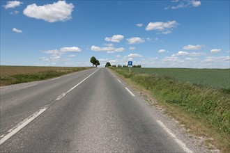 France, Picardy, Somme, Peronne, Rural highway. Photo : Jan Scherders