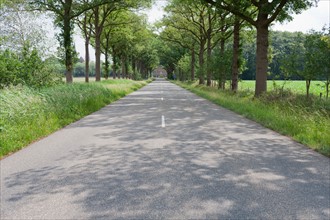 Netherlands, North-Brabant, Tilburg, Road lined with trees. Photo: Jan Scherders