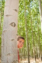 USA, Oregon, Boardman, Boy (8-9) playing seekand hide between poplar trees in tree farm. Photo: