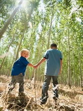 USA, Oregon, Boardman, Boys (8-9) walking between poplar trees in tree farm.