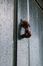 USA, South Carolina, Charleston, Close up of door knocker on door in rain.