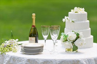 Table with champagne bottle and wedding cake.