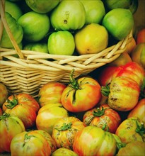 Studio shot of tomatoes in basket.