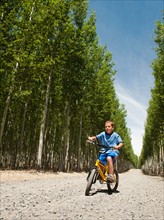 Boy (8-9) riding bike between poplar trees in tree farm.