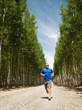 Man running between rows of poplar trees in tree farm.