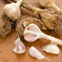 Studio shot of garlic.