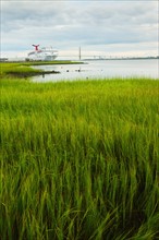 USA, South Carolina, Charleston, Green rushes on riverbank with ferry in background.