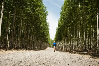 USA, Oregon, Boardman, Man running between rows of poplar trees in tree farm. Photo: Erik Isakson