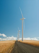 USA, Oregon, Wasco, Wind turbines along dirt road between wheat fields.