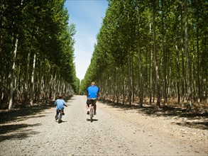 Father with son (8-9) cycling up country road.