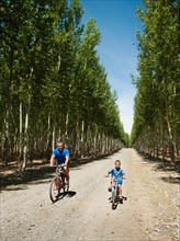 Father with son (8-9) cycling on country road.