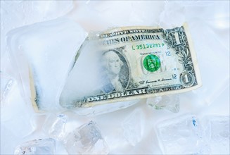 Studio shot of one dollar bill frozen in ice.