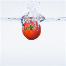 Tomato splashing into water, studio shot. Photo: Daniel Grill