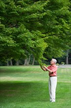 Senior man touching fresh leaves in park.