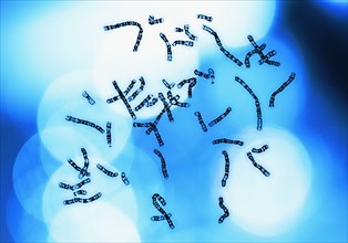 Chromosomes on blue background.
