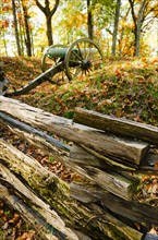 USA, Georgia, Kennesaw, Historic ranch with cannon.