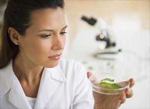 Female scientist examining sample.