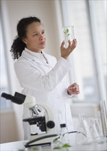 Female scientist examining sample.