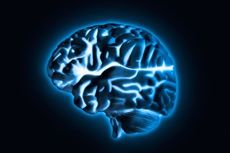Human brain model with blue glow, studio shot.