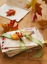 Autumn leaves on letters, studio shot.