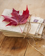 Autumn leaf on letters, studio shot.