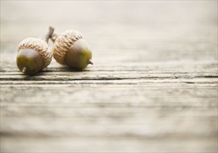 Roaring Brook Lake, Close up of acorns on pier. Photo : Jamie Grill