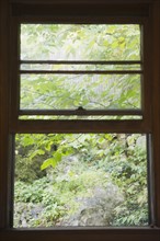 Roaring Brook Lake, Close up of branch behind window. Photo : Jamie Grill