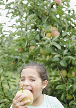 Close up of girl (8-9) eating apple in orchard. Photo : Jamie Grill