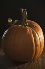 Close up of pumpkin. Photo : Jamie Grill