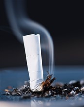 Close up of cigarette butt on black background. Photo : Daniel Grill