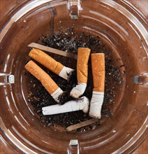 Close up of cigarette butts in glass ashtray. Photo : Daniel Grill