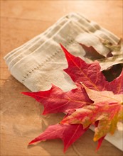 Colorful autumn leaves on napkin. Photo : Daniel Grill