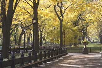USA, New York City, Autumn scene in Central Park. Photo : fotog