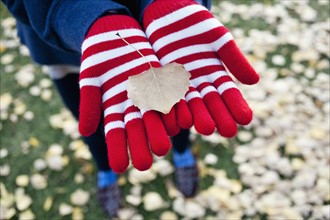 Hands of woman holding autumn leaf. Photo : Winslow Productions