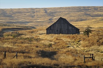 USA, Oregon, Wosco county, Rural scene with solitary barn. Photo : Gary Weathers