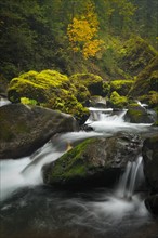 USA, Oregon, Eagle Creek. Photo : Gary Weathers