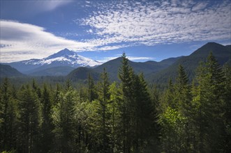 USA, Oregon, Multnomah County, Landscape with Mount Hood. Photo: Gary Weathers