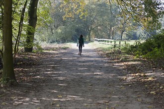 The Netherlands, Veluwezoom, Posbank, Hiker in countryside. Photo: Jan Scherders