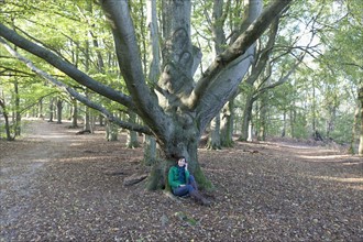 The Netherlands, Veluwezoom, Posbank, Woman sitting under tree in park. Photo: Jan Scherders