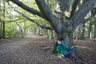 The Netherlands, Veluwezoom, Posbank, Woman sitting under tree in park. Photo: Jan Scherders