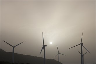Silhouettes of wind turbines. Photo : Noah Clayton