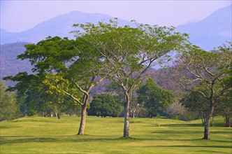 Mexico, Oaxaca, Huatulco, Tangolunda Bay, golf course . Photo : DKAR Images