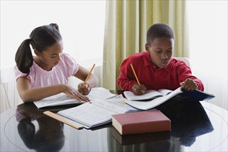 Brother and sister (10-13) doing homework. Photo : Rob Lewine