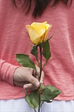 Rear view of woman holding yellow rose behind back. Photo : Tetra Images